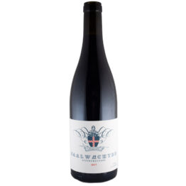 weinhandel-6-von-10 Spätburgunder trocken 2017 Weingut Saalwächter